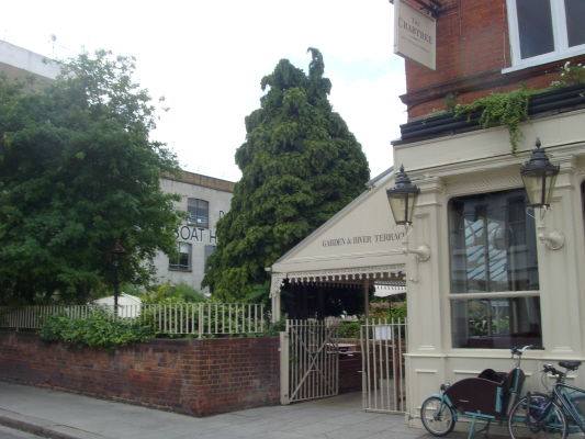 2-Crabtree-027