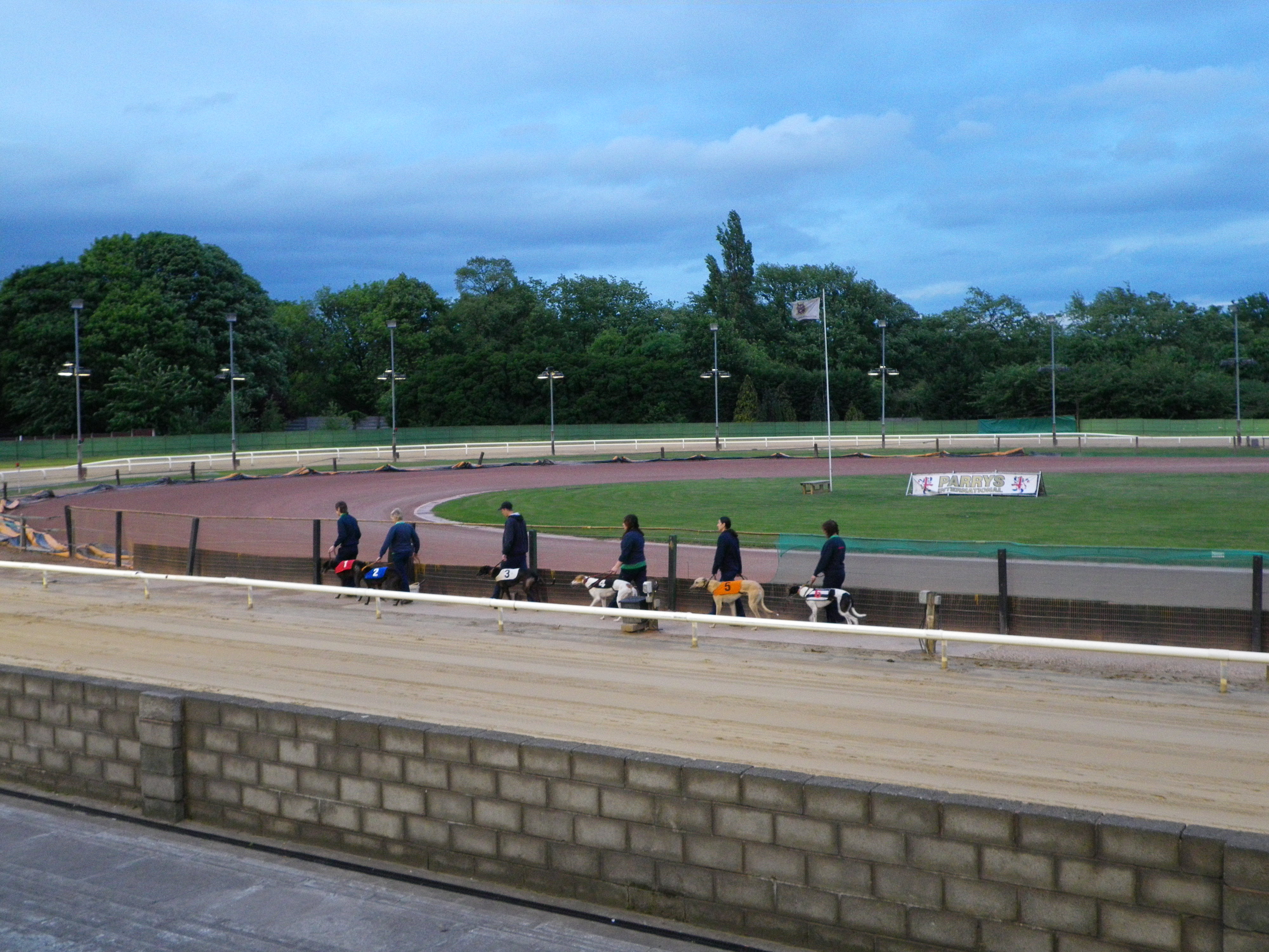 IMGP0621
